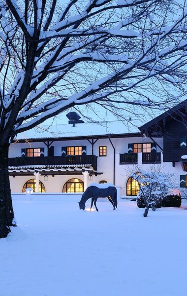 Snow-covered view of the Hotel Gut Ising at the Chiemsee in which a large tree as well as a horse sculpture stands.